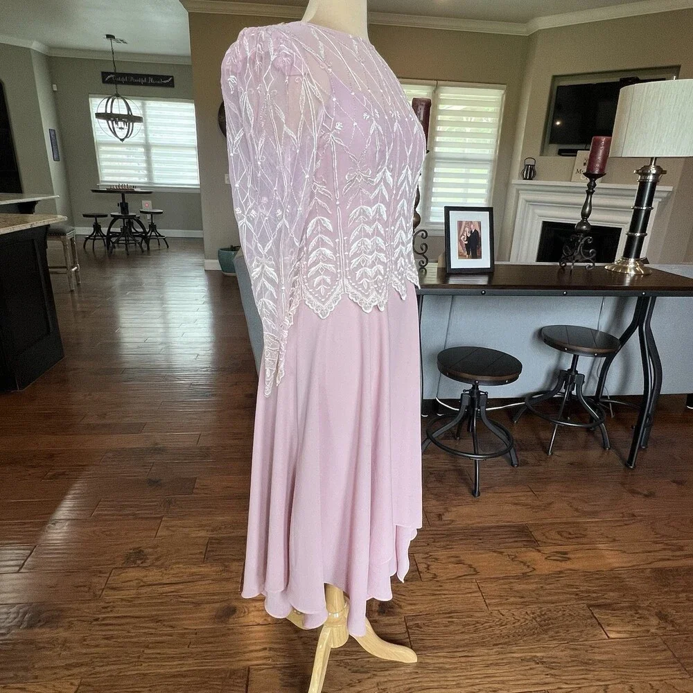 Vintage Cachet Bari Protas Pink Rose Dress 7/8 Sheer Embroidered Formal Gown - Picture 15 of 15